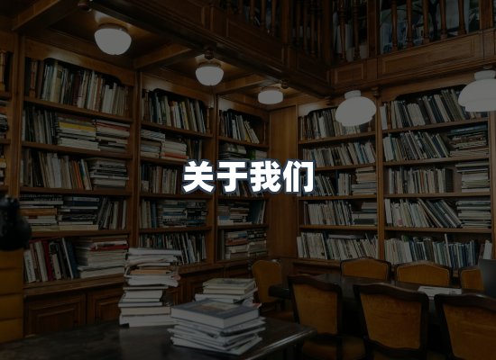 专业团队